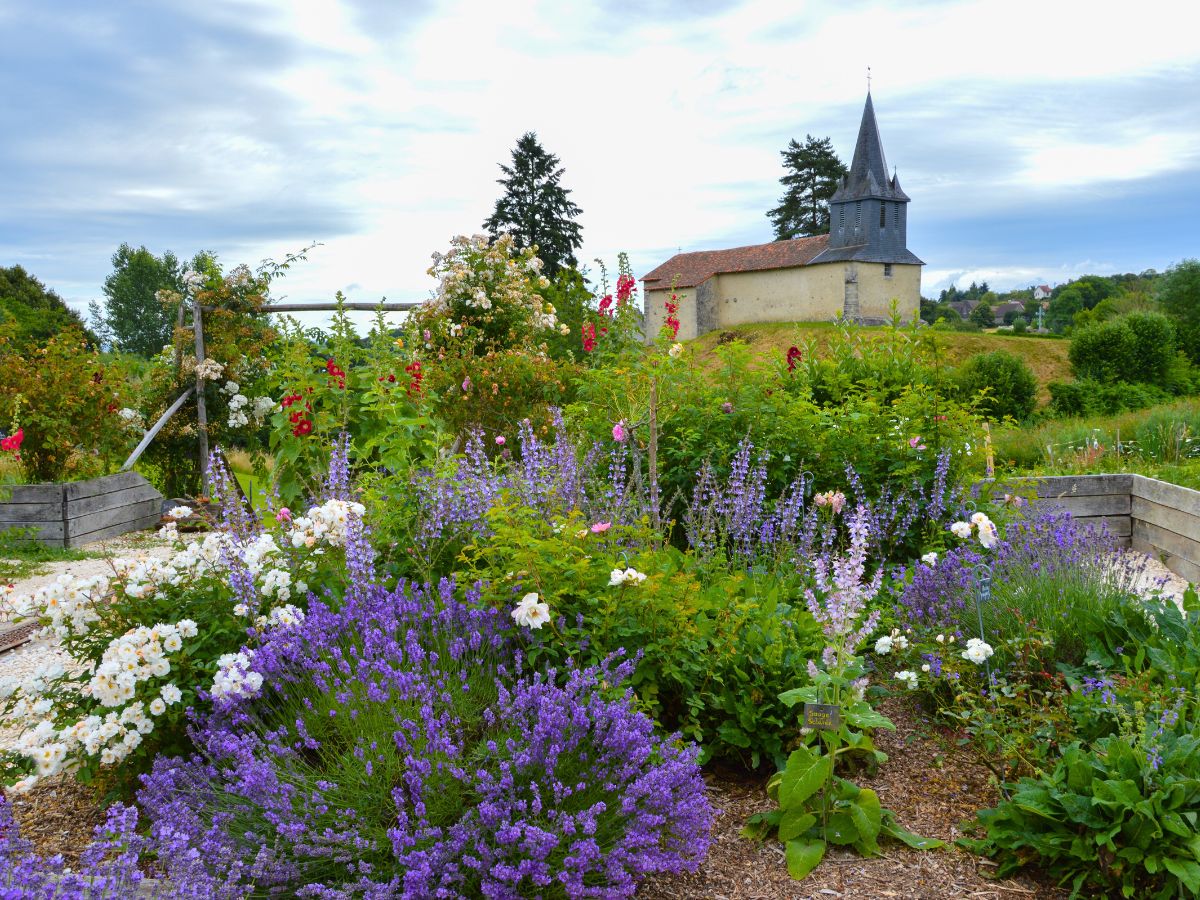 Balade découverte du Jardin de l'An Mil à nos jours - photo 5