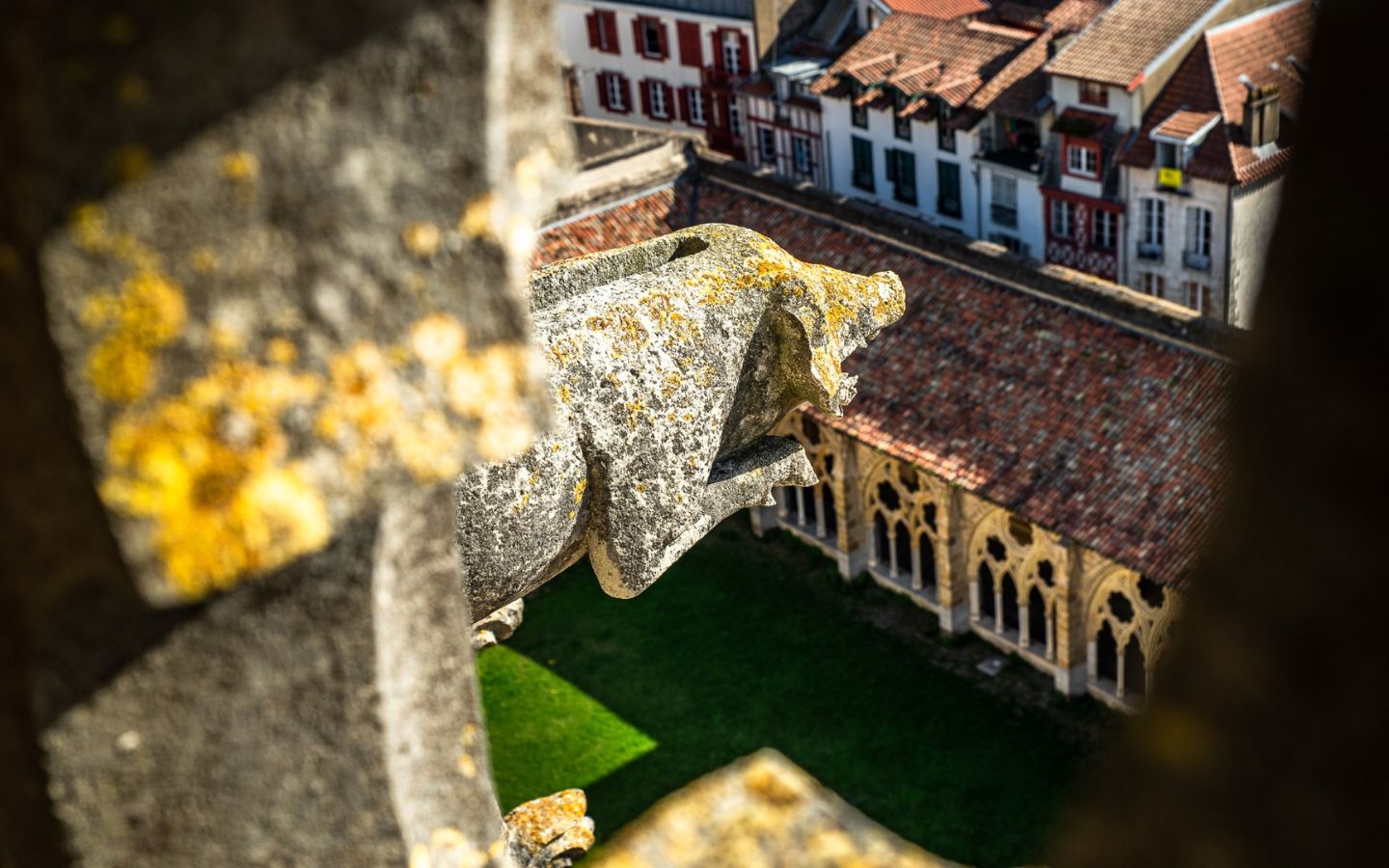 Visite guidée : la tour sud de la cathédrale, Bayonne - photo 2