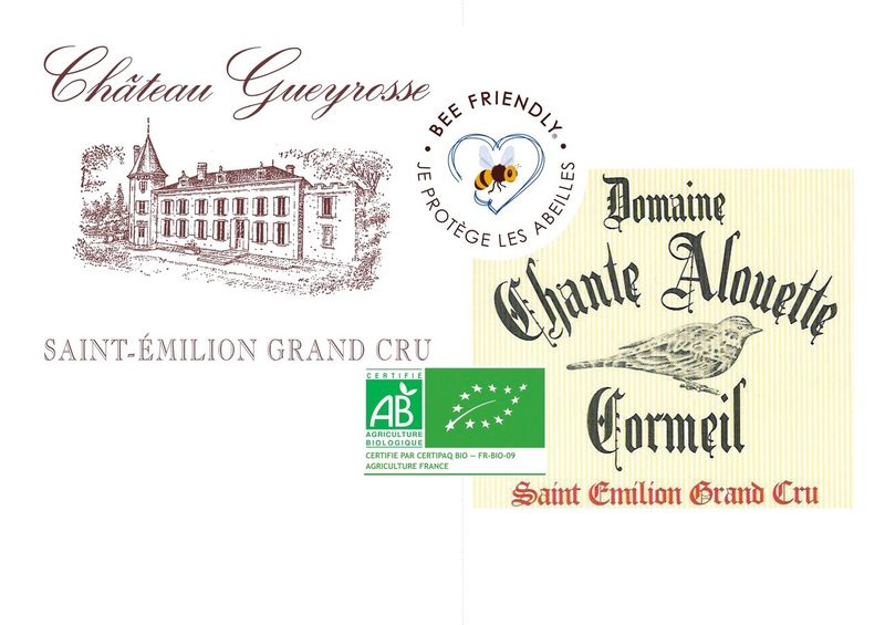 Château Gueyrosse - photo 3