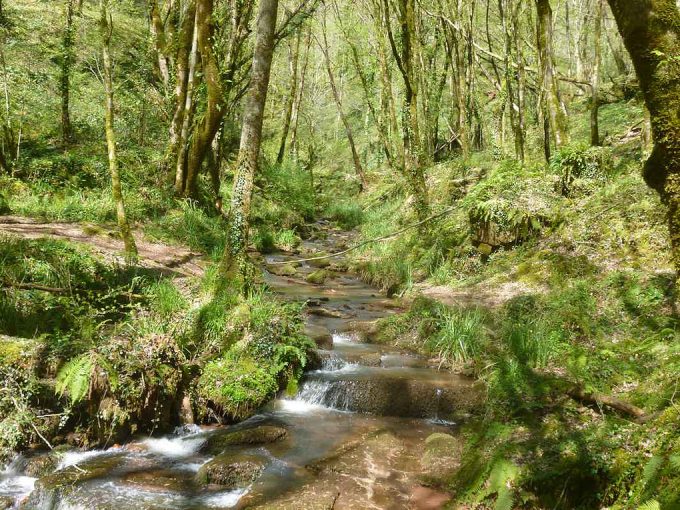 Le sentier des sources — photo 2