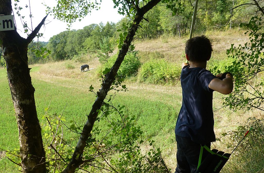 Le Bel Oiseau Tir à l'Arc sur cible 3D