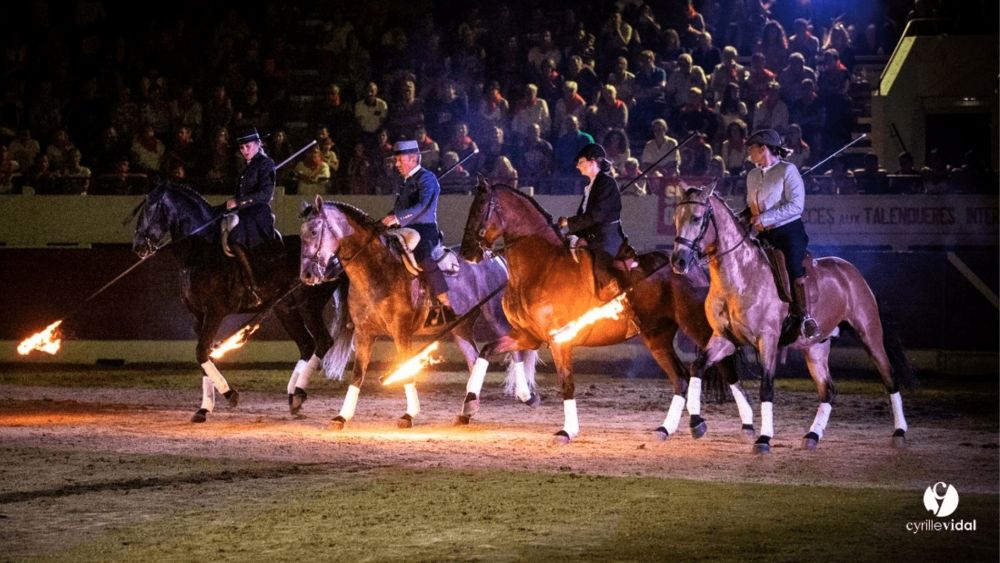 Domaine El Campo - photo 4