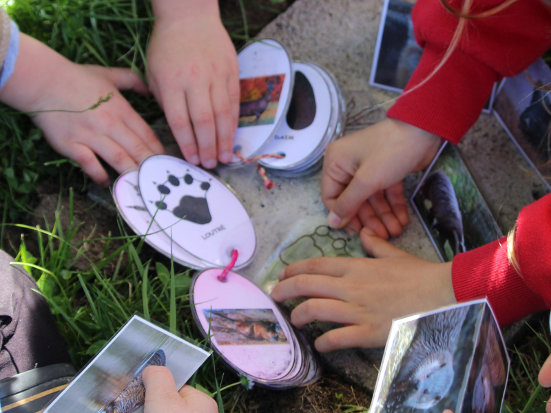 Création d'un empreintoscope à Terres d'Oiseaux, Braud-et-Saint-Louis - photo 5