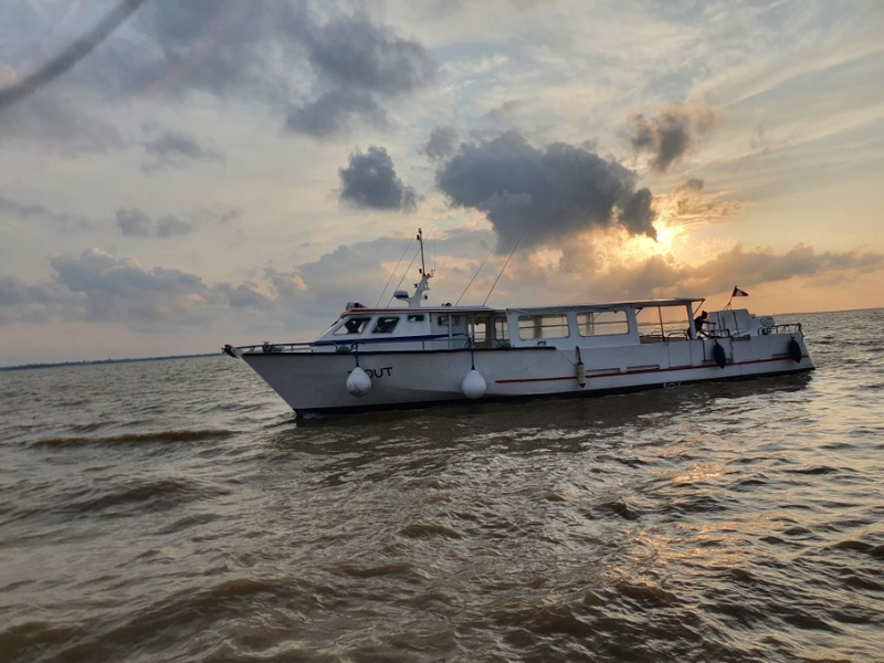 Croisière du dimanche sur l'estuaire à Terres d'Oiseaux, Braud-et-Saint-Louis - photo 3