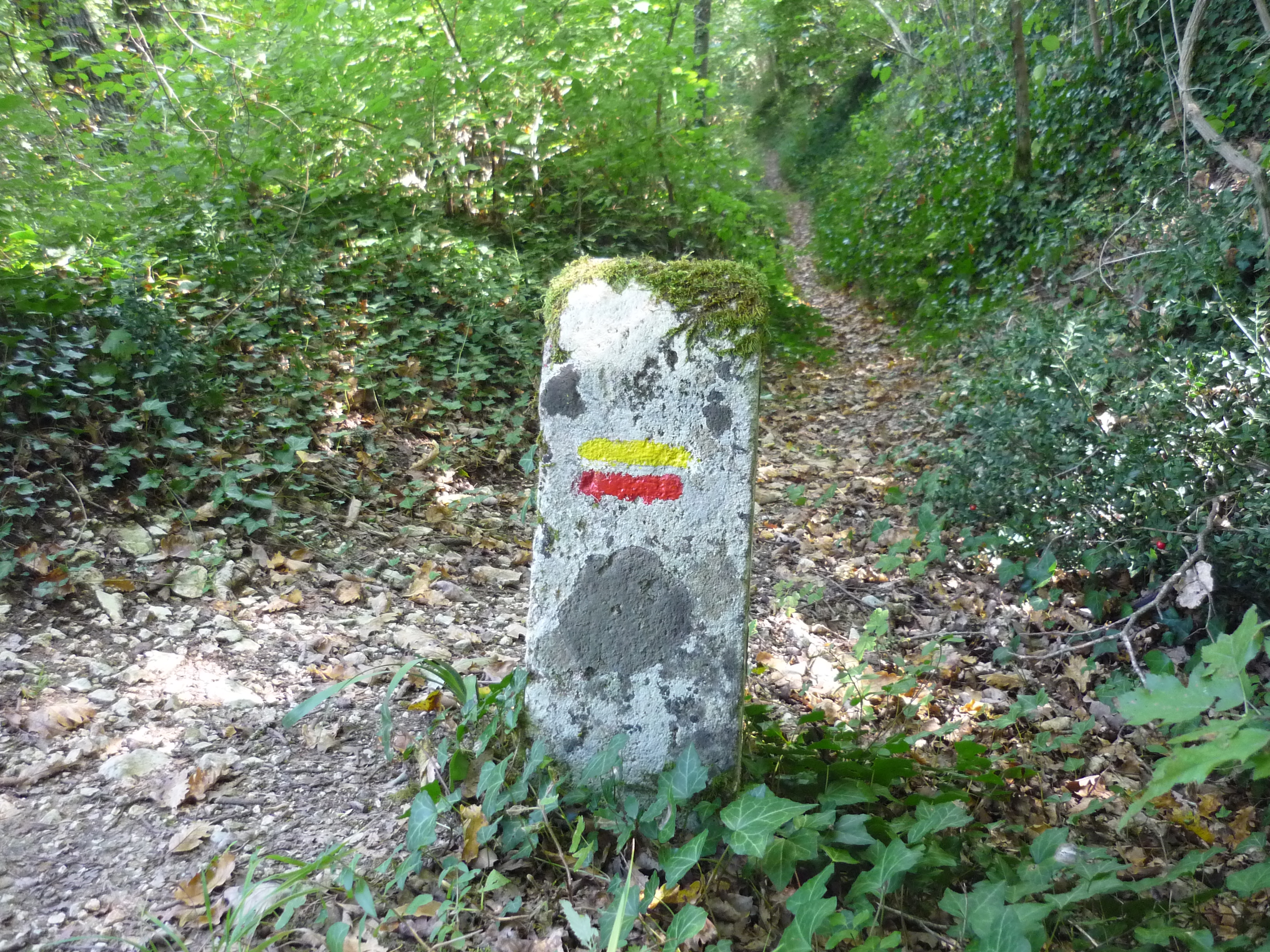 Boisserolles, Plaine-d'Argenson - photo 3