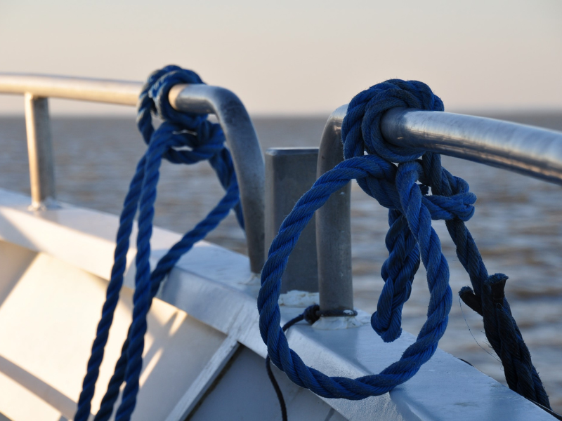 Croisières du 14 juillet, Braud-et-Saint-Louis