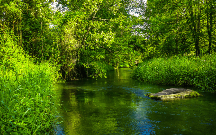 Image de présentation du lieu