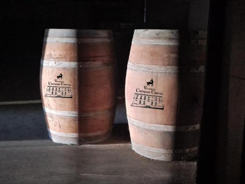 Vignoble L'Homme Cheval