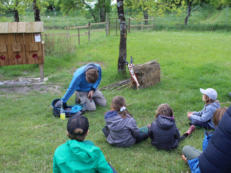 Petits Aventuriers à Terres d'Oiseaux, Braud-et-Saint-Louis - photo 7
