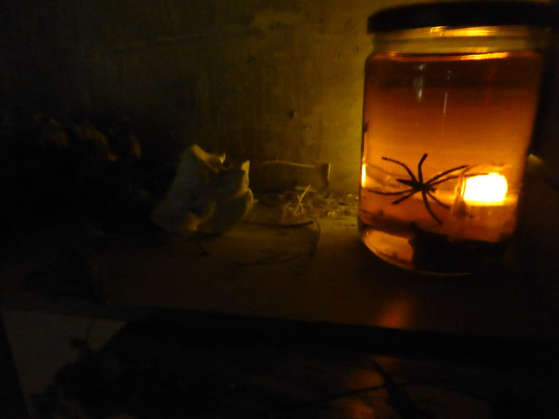 Grand jeu d'Halloween à Terres d'oiseaux, Braud-et-Saint-Louis - photo 6