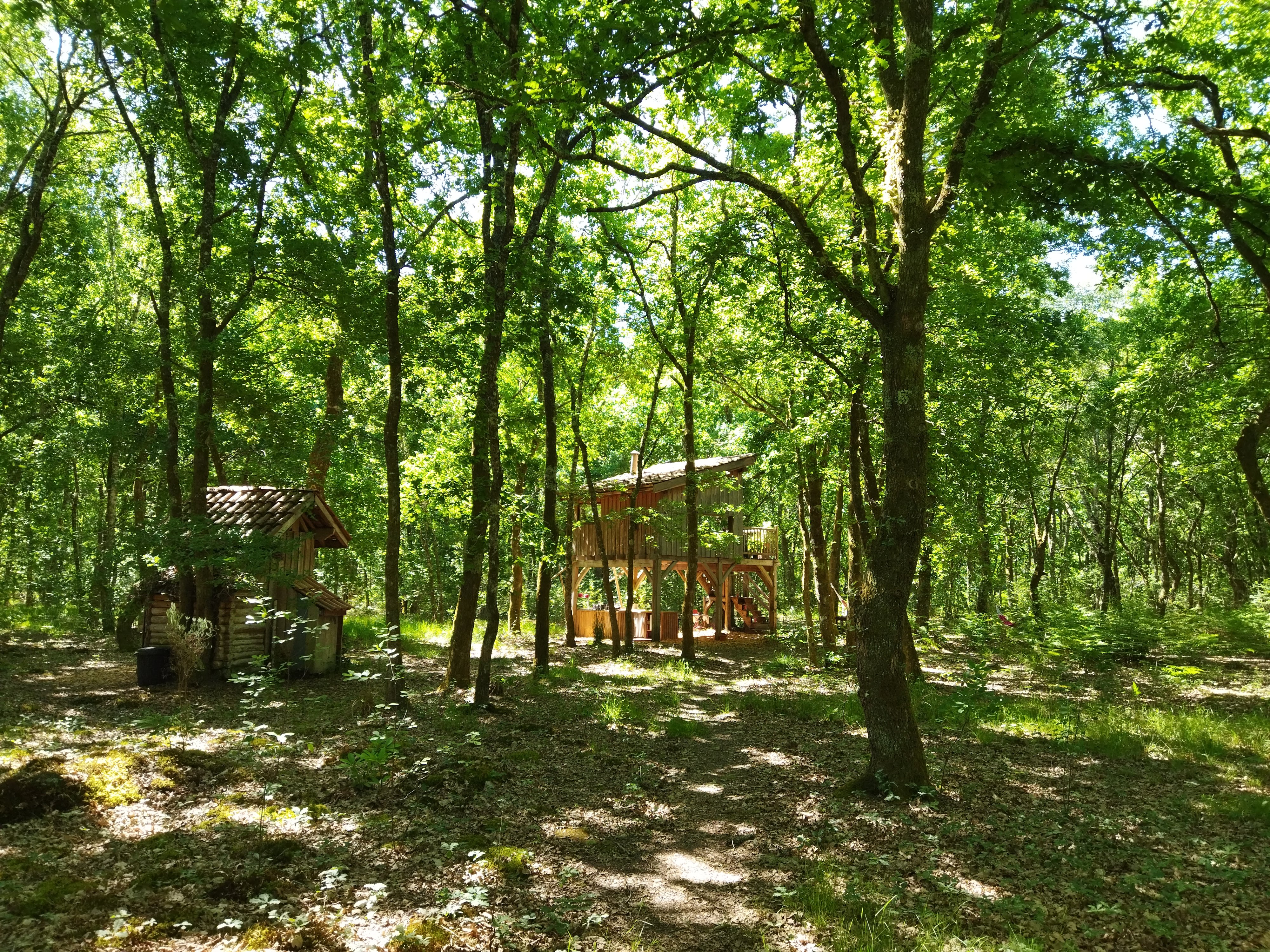 Auprès de mon arbre - photo 4