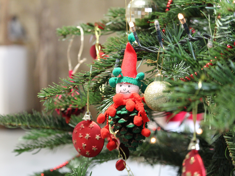 Décoration de Noël naturelle à Terres d'Oiseaux, Braud-et-Saint-Louis