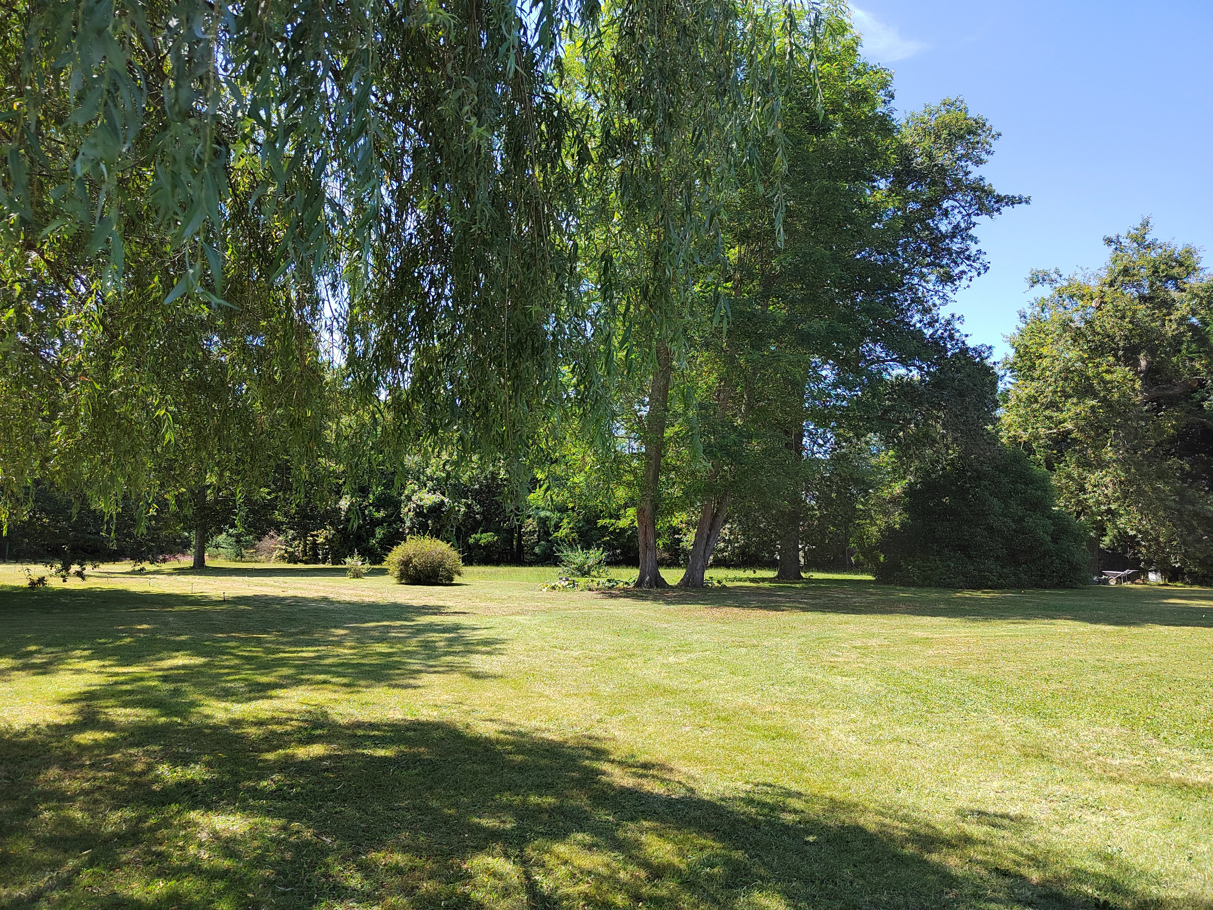 Gîte "Cottage Le Botaniste", Morcenx-la-Nouvelle - photo 3