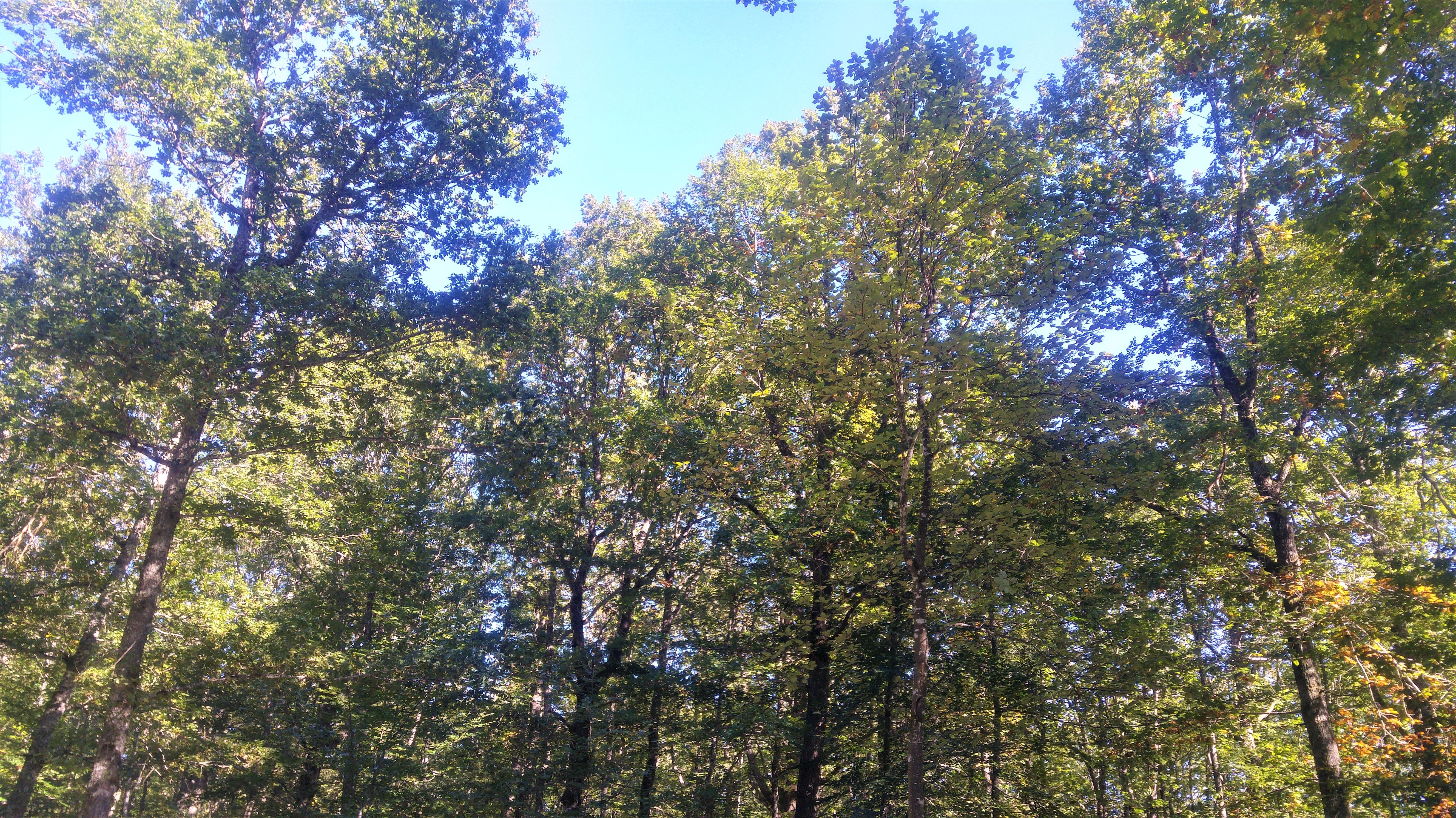 VTT - Gravel - A travers champs et forêts - 28 km - circuit 61, Aix - photo 4