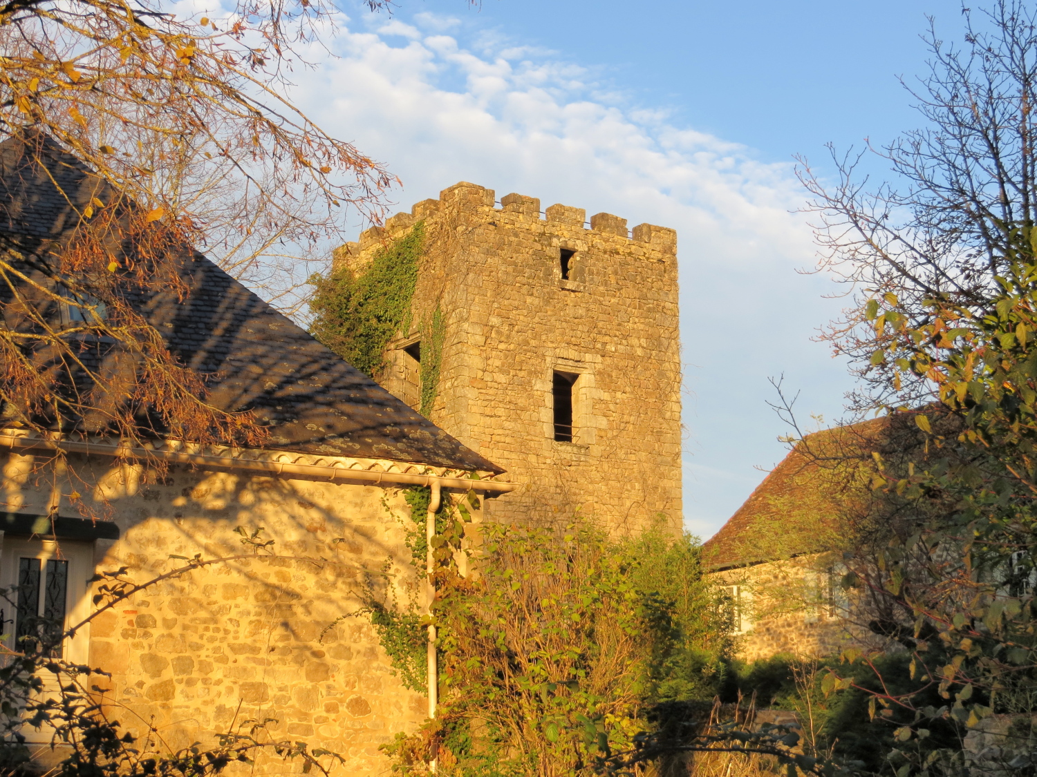 Entre vignes et noyers — photo 3
