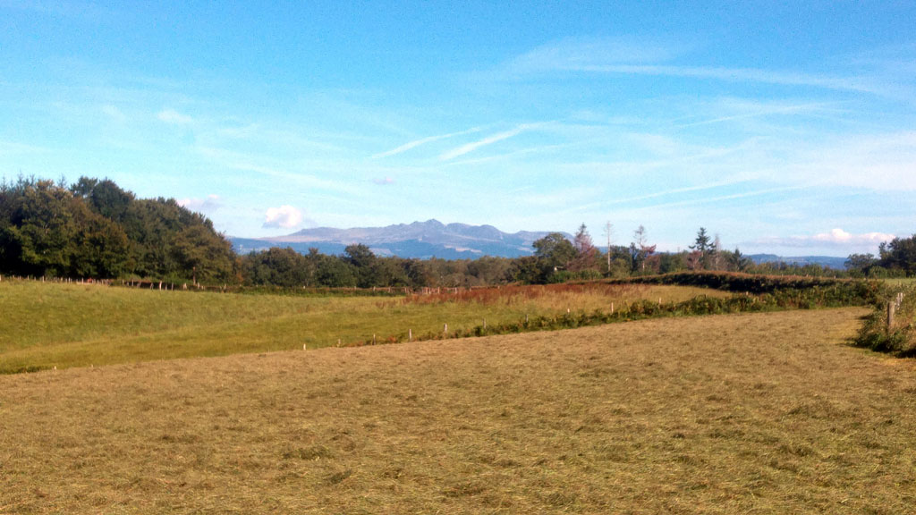 Sur les traces des chevaliers de l'Ordre de Malte (variante de 3 km), Thalamy - photo 2