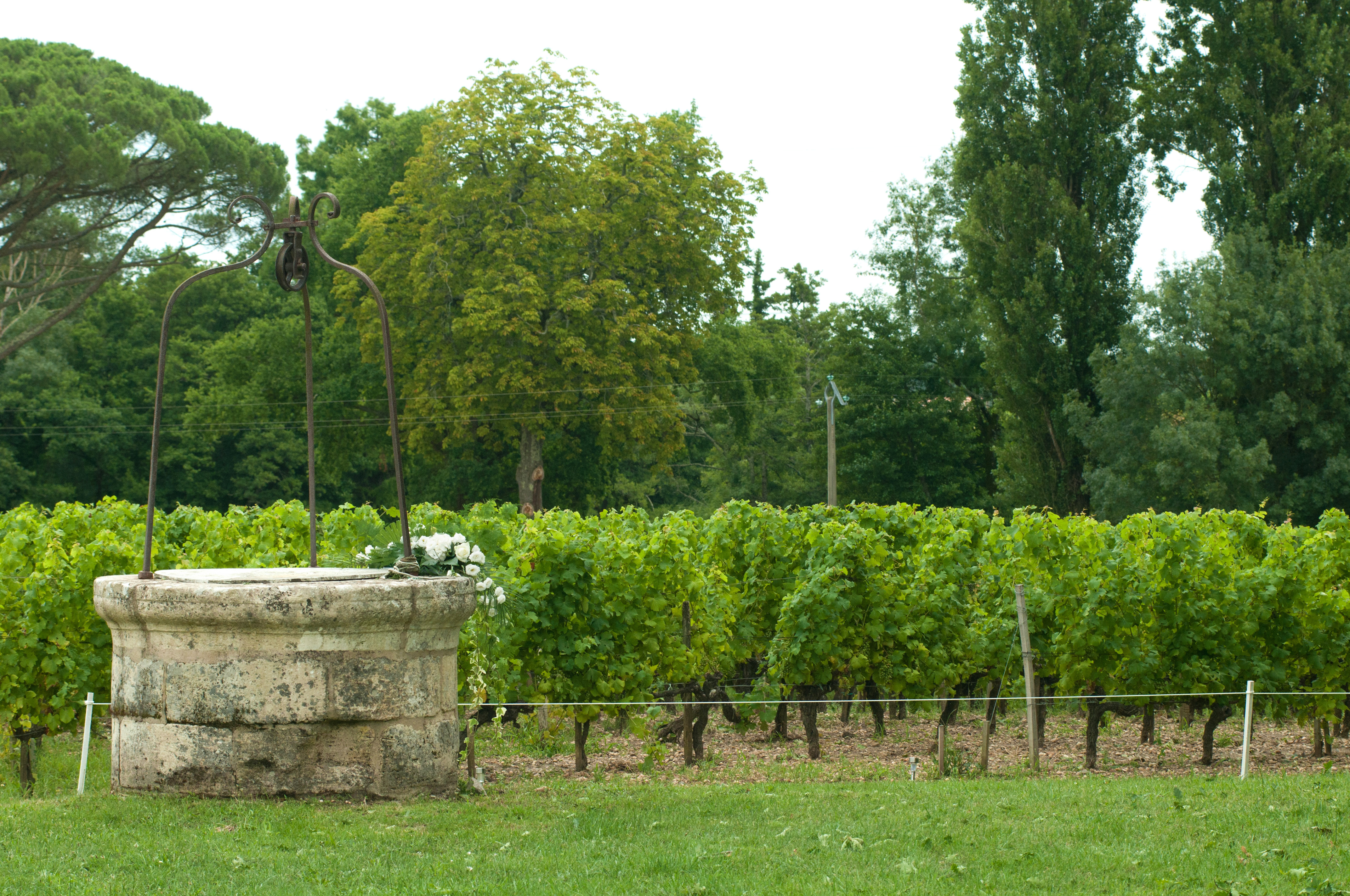 Château Haut Nouchet — photo 3