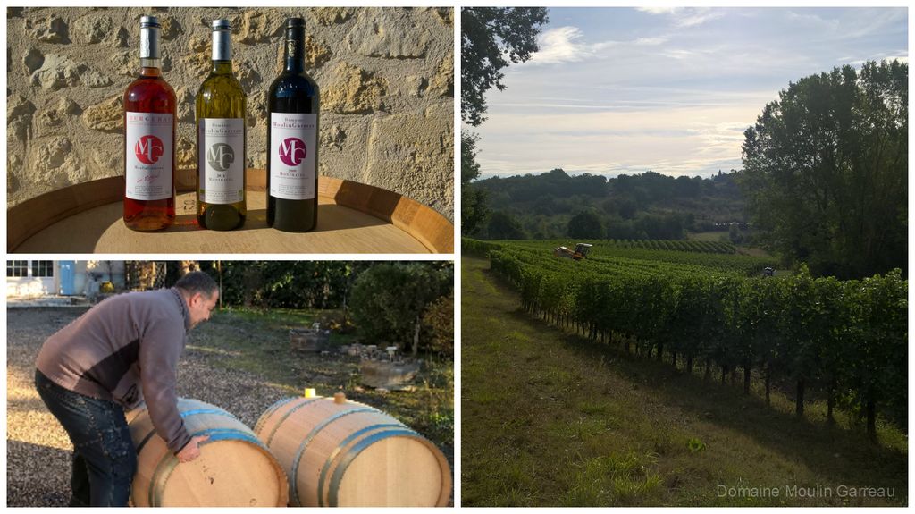 Domaine Moulin Garreau