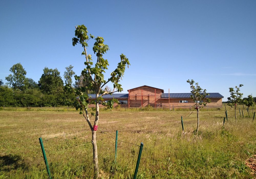 Journée Porte Ouverte - Entre Terre et Miel, Marnay - photo 4