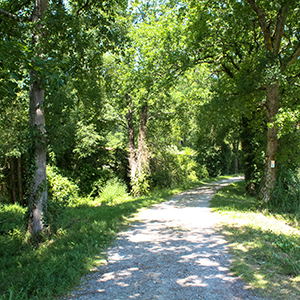Parcours de Santé d'Eugénie les Bains