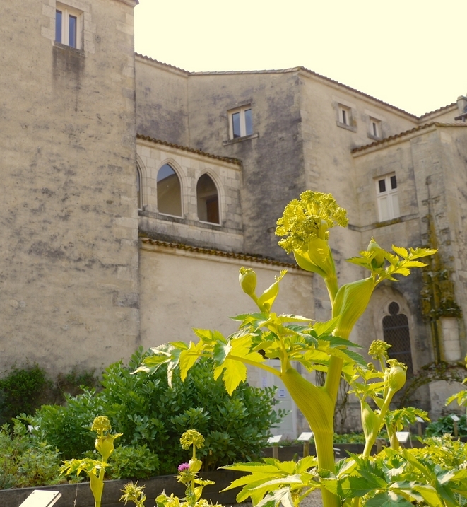 La Collégiale, Saint-Marc-la-Lande