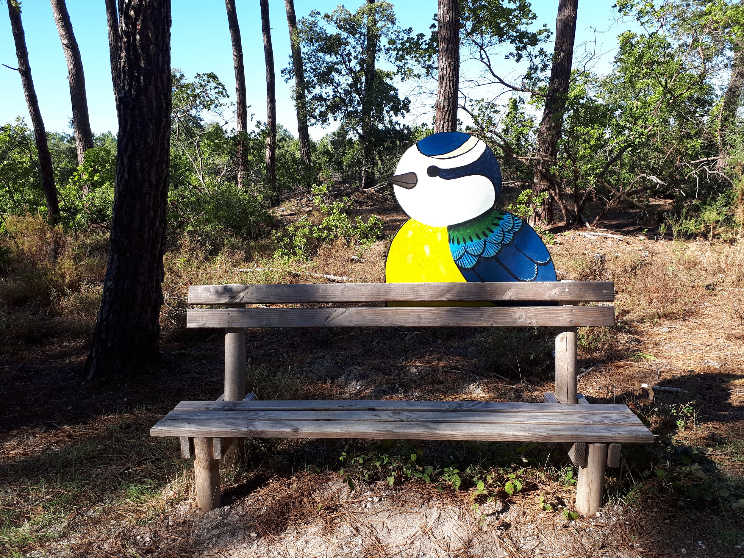 Le sentier du Lac à Maubuisson - photo 3