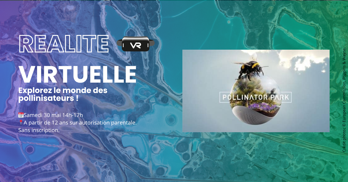 Réalité virtuelle Pollinator Park