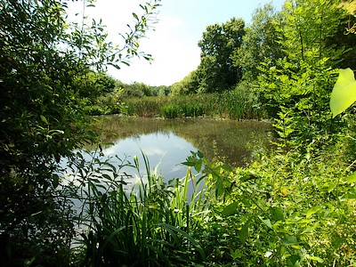 Chambres d'hôtes La Ferme fortifiée, La Forêt-sur-Sèvre - photo 10