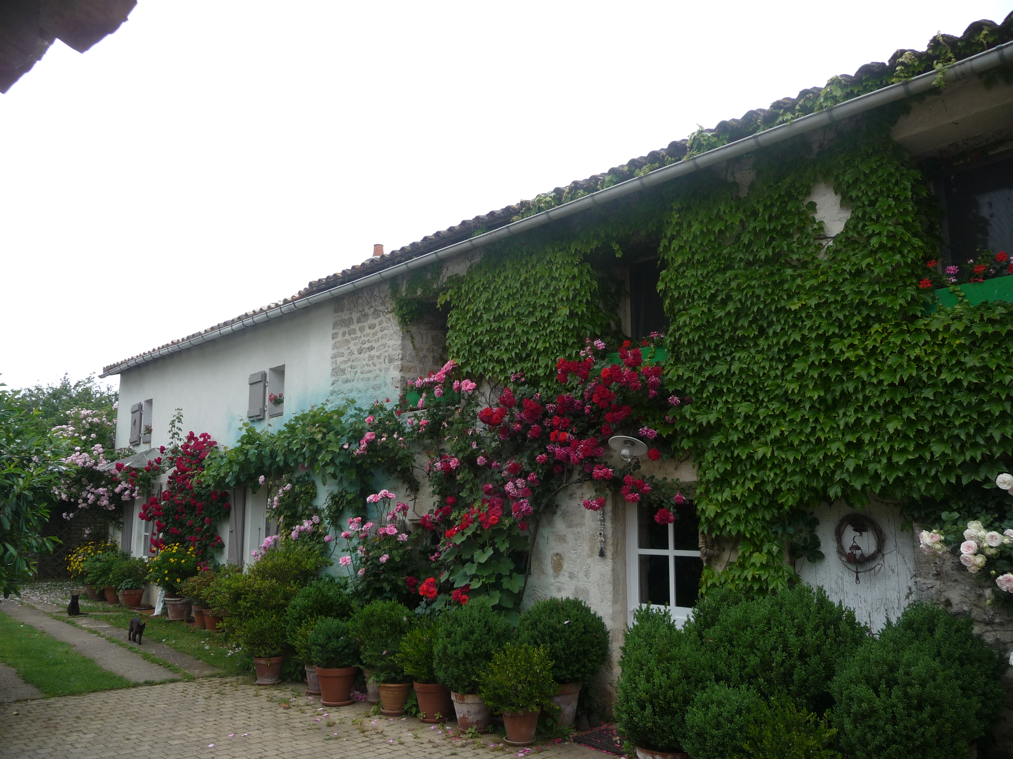 La Maison des Chevaux