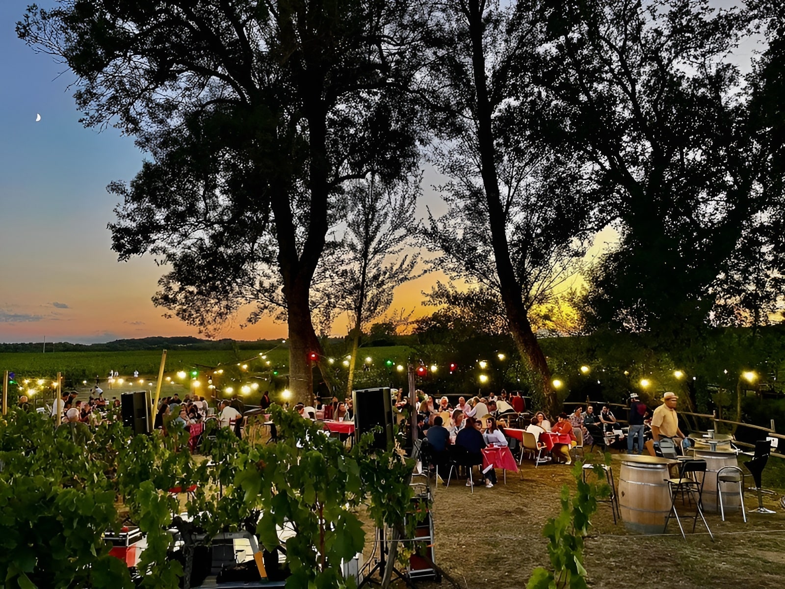Guinguette La Cabane du vigneron