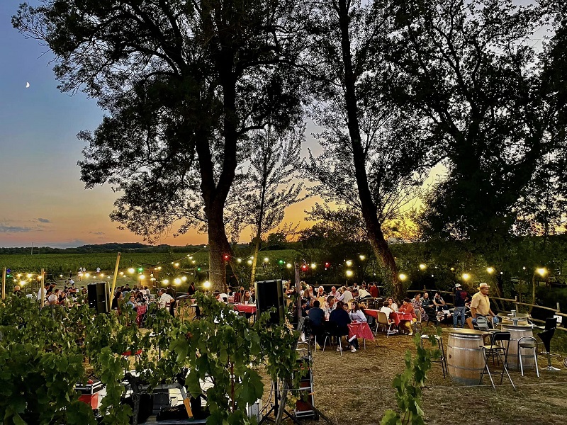 Guinguette La Cabane du vigneron des Vignobles Turtaut