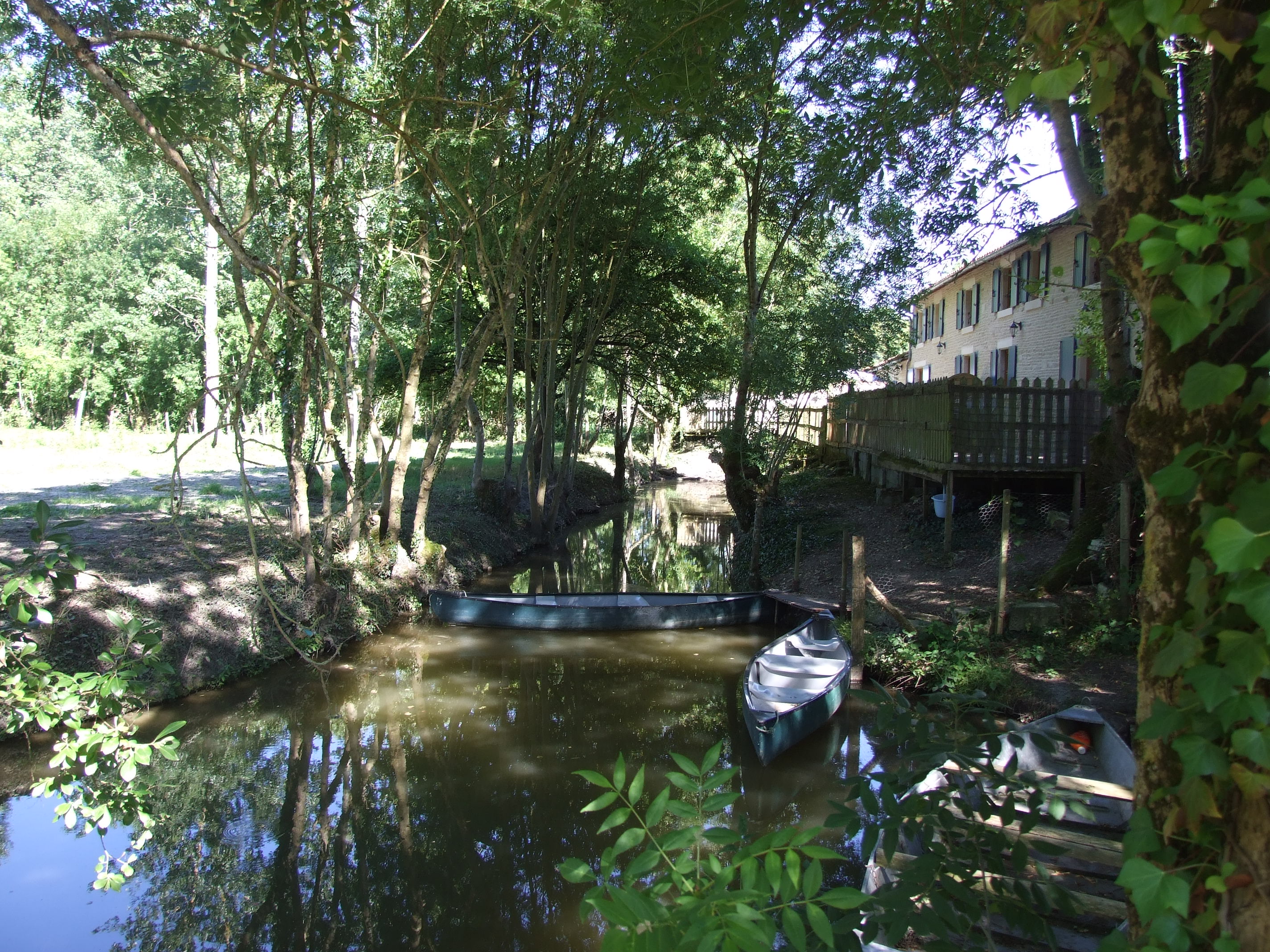 Les Sabots Bleus - L'Angélique, Arçais - photo 6