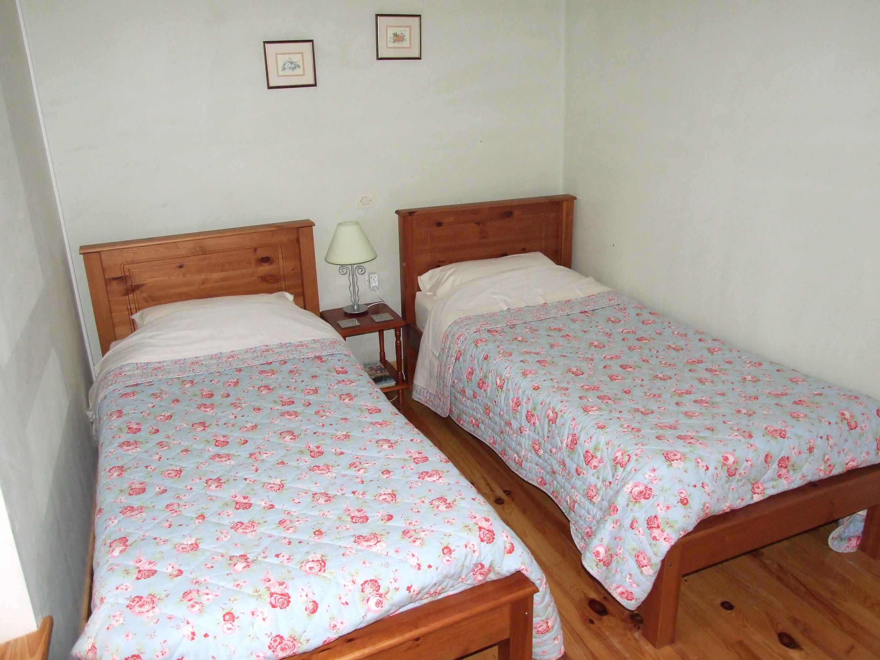 Les Sabots Bleus - L'Angélique, Arçais - photo 2