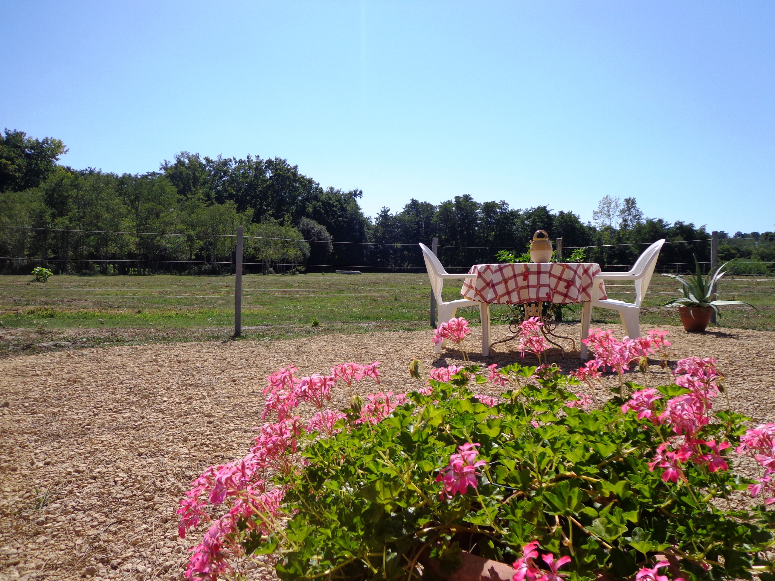 La Roulotte de Florette, Saint-Julien-en-Born - photo 4