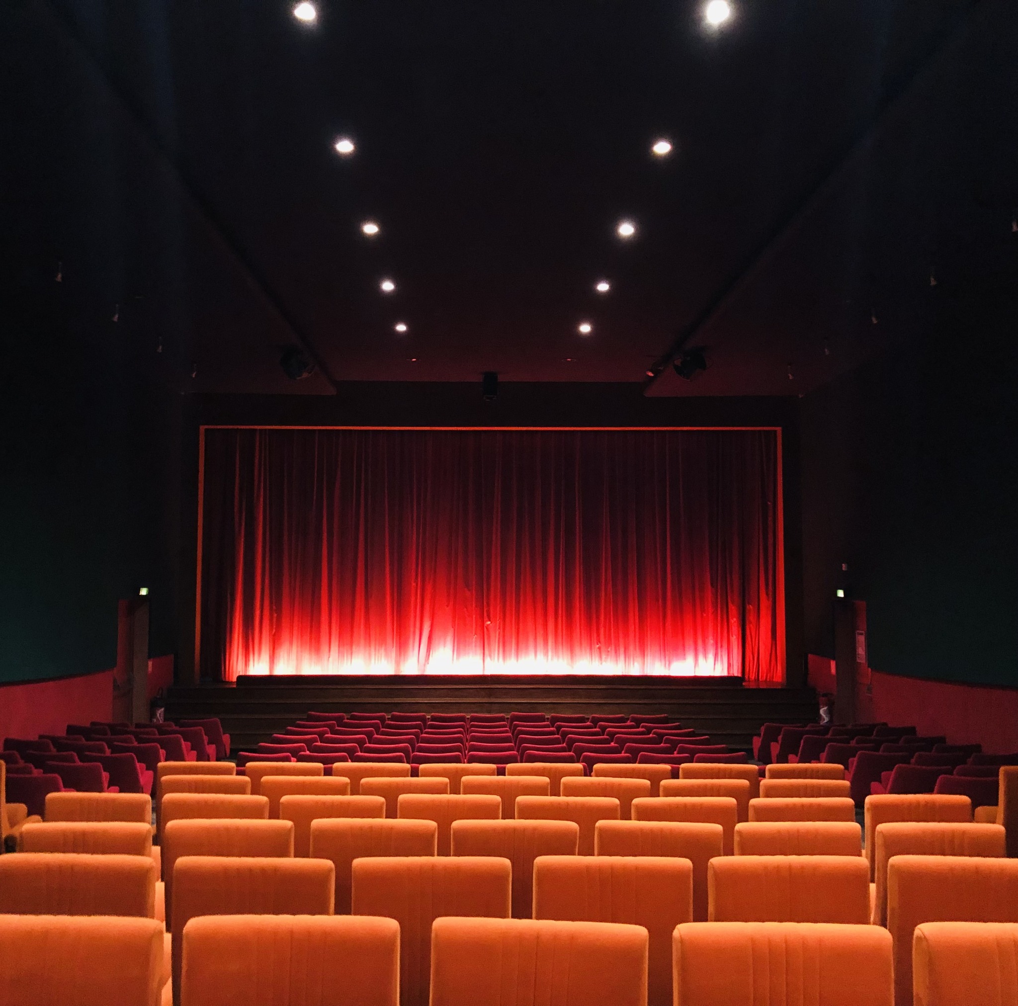 Cinéma associatif de la Venise Verte