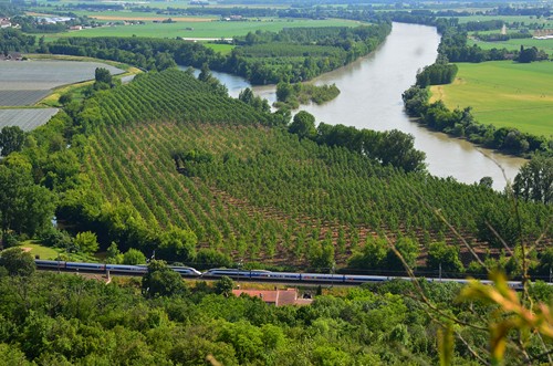 GR®654E / Voie de Vézelay : de Castillonnès à Villeneuve-de-Mézin, Castillonnès - photo 12