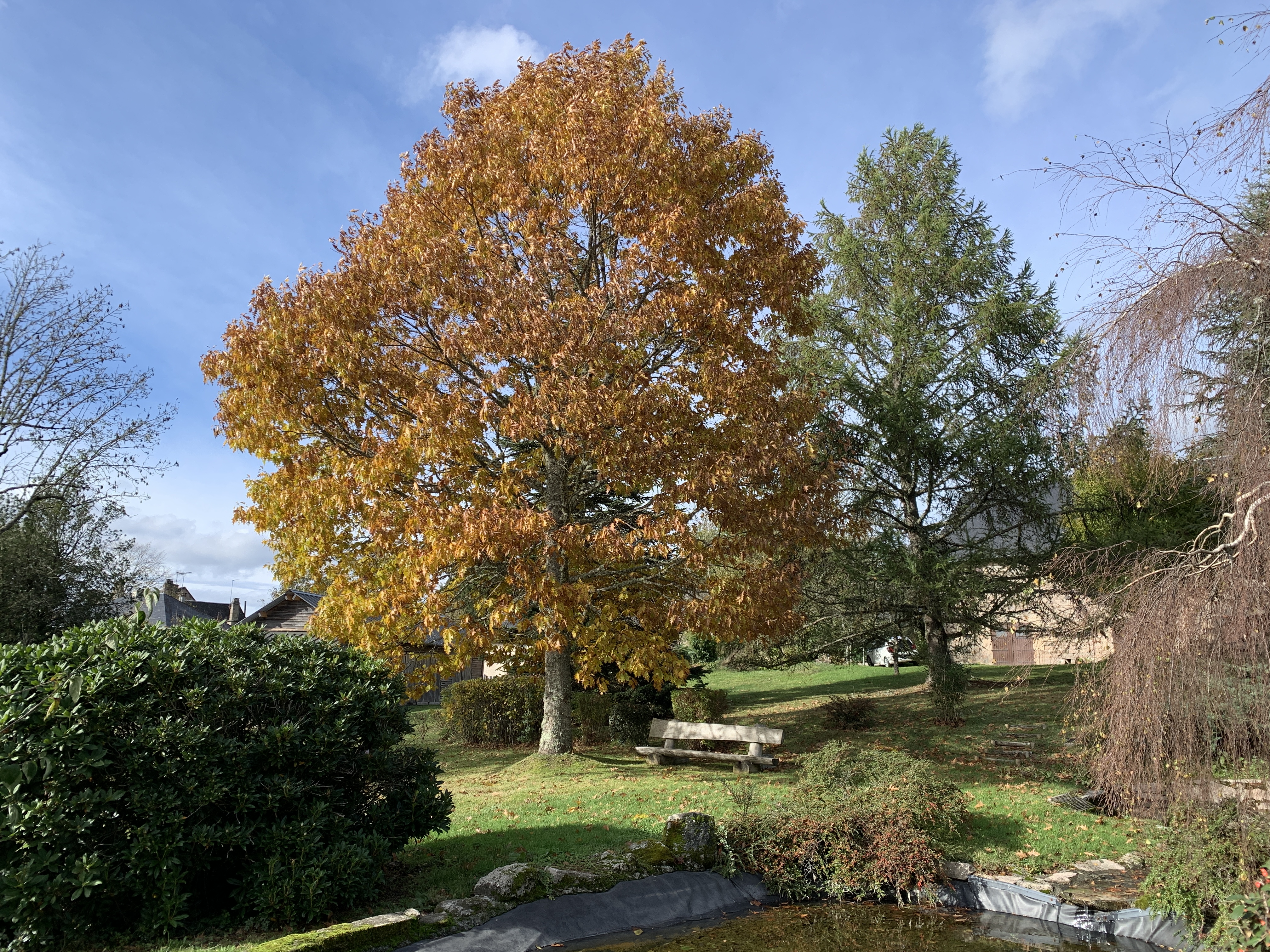 Le Logis du Parc, Pérols-sur-Vézère - photo 17