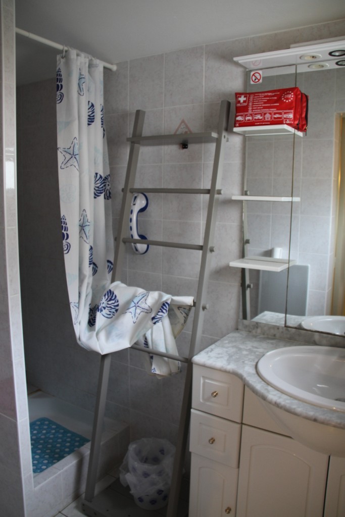 Gîte Rural "La Grenouille", Sansais - photo 10