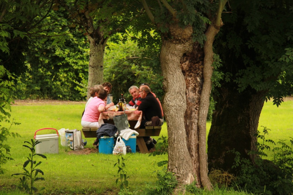 Gîte Rural "La Grenouille", Sansais - photo 7