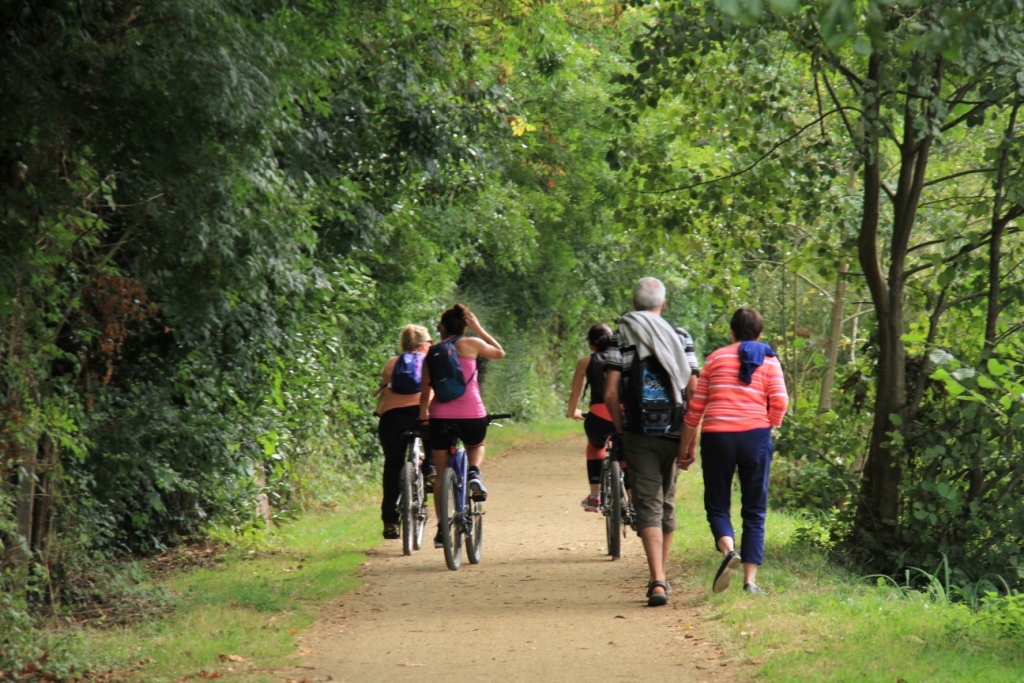 Gîte Rural "La Grenouille", Sansais - photo 4