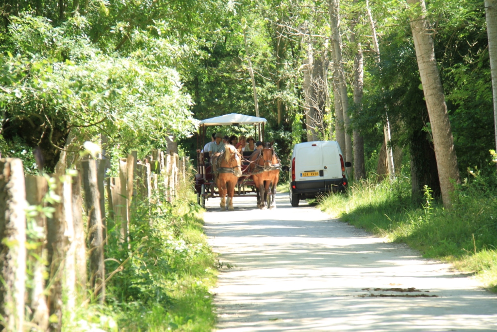 Gîte Rural "La Grenouille", Sansais - photo 9