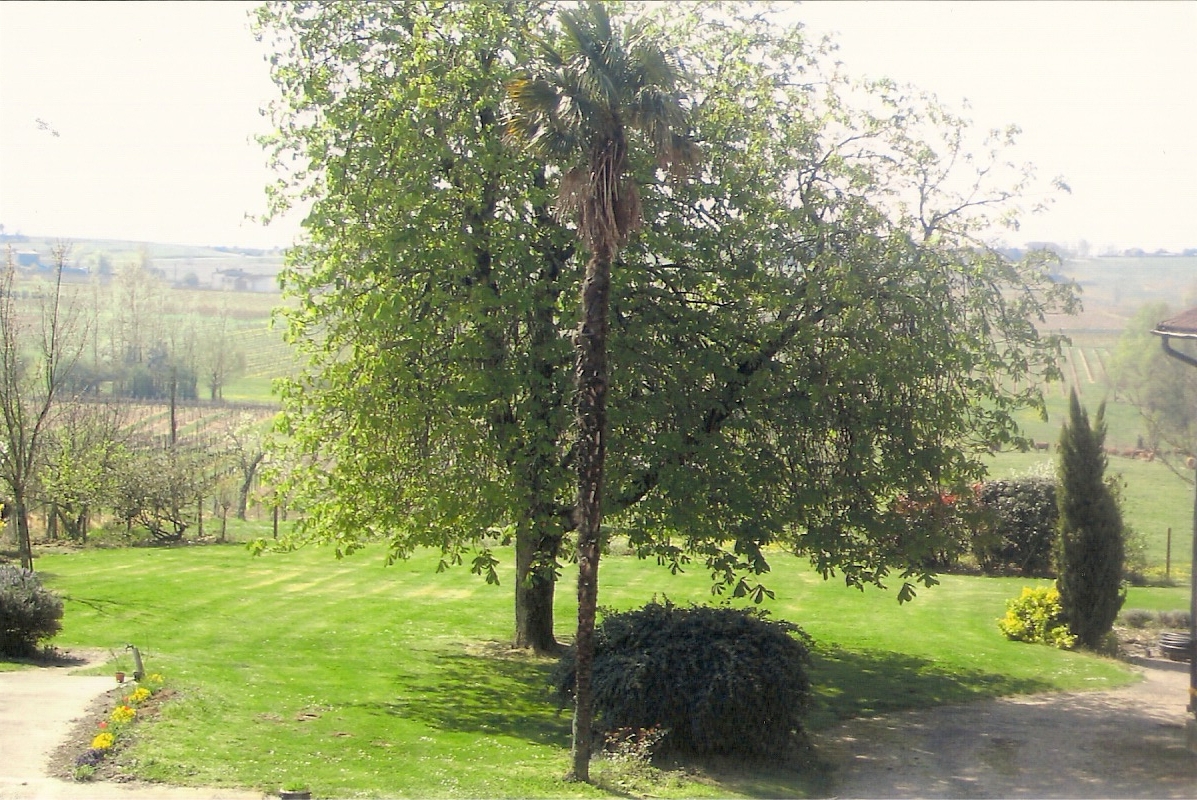 Gîte du Jardinet, Saint-André-du-Bois - photo 4