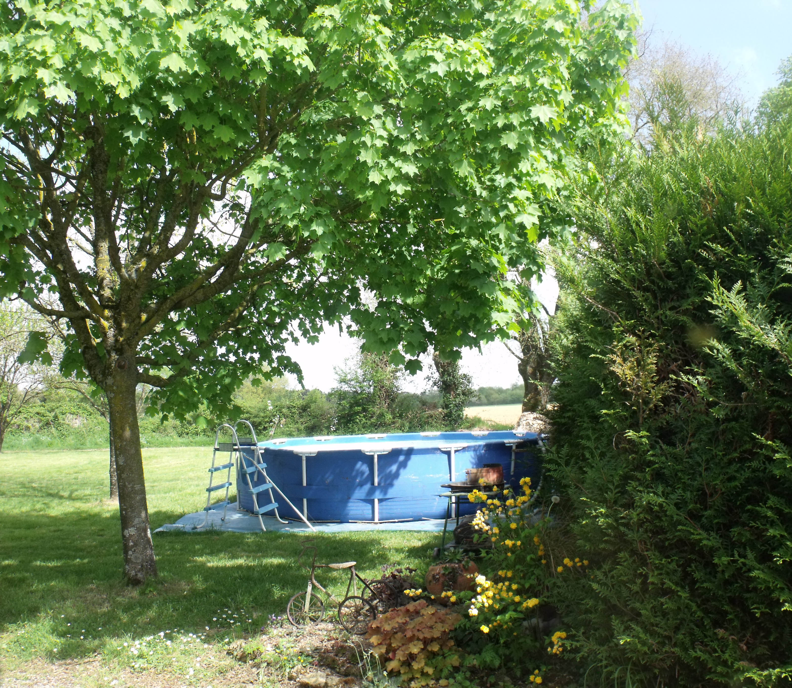 Le Grand Bois, Aubigny - photo 4