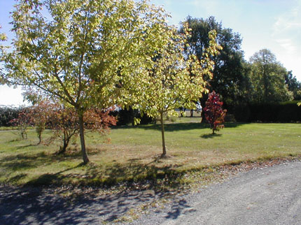 Le Grand Bois, Aubigny