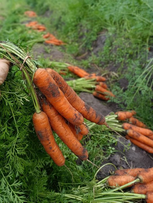 La Ferme des Equinoxes