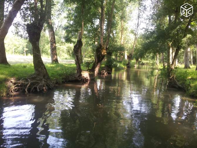 Camping Terre Neuve, Marigny - photo 6