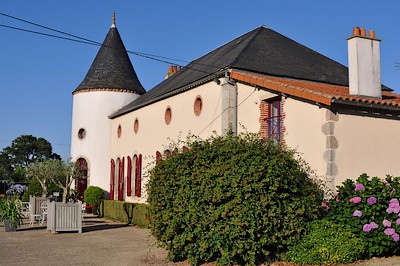 Chambres d'hôtes Le Petit Puy Loup, Saint-Amand-sur-Sèvre - photo 8