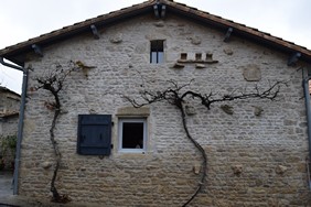 Chambre d'hôtes CHANTEMERLE, Saivres - photo 3