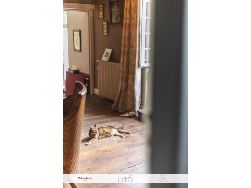 Le Clos des Noaillettes, Puybarban - photo 12