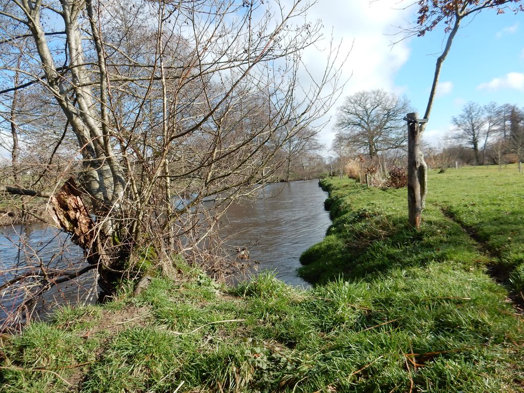 "Les Pieds dans l'Eau " Grande capacité - 15 personnes, Le Grand-Bourg - photo 37